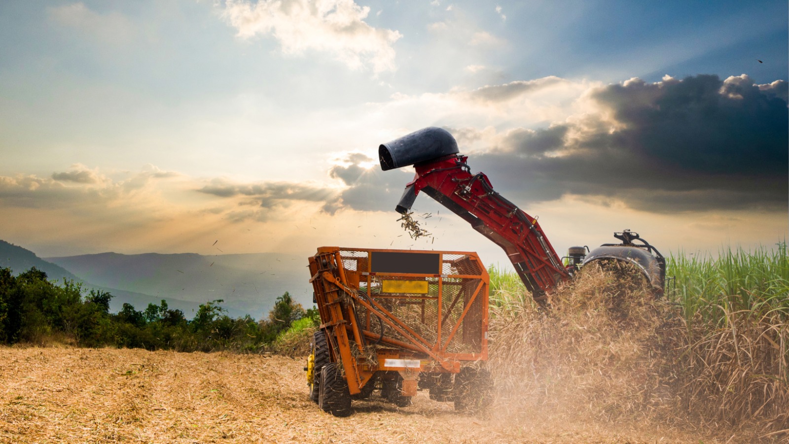 Supersafra e exportações dão impulso ao PIB do agronegócio